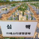 장호농장 이미지