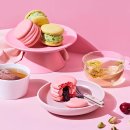 크림이네 수제간식 이미지