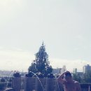 하얏트호텔 이미지