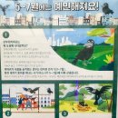 용산-351 | 큰부리 까마귀에게 머리 공격 받은 후기+이유와 대처 방법