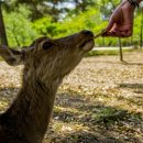 꿈의도시 두드림 | 여행, 준비만 잘해도 반은 성공이다!“떠나기 전 읽는 단 한 권의 책이 당신의 여행을 바꾼다”