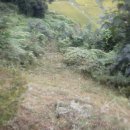 봉화주유소 이미지