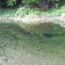 백두세상 이미지