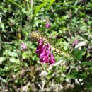 전라남도농업박물관 이미지