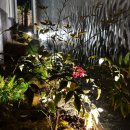 스테이 유수 이미지