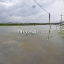 고당1리 이미지