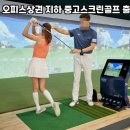콜스크린골프
