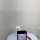 오슬랑커피신당점 이미지