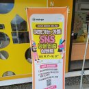 들꽃나라 | 우리나라 치즈의 시작점? 임실N치즈축제 후기~