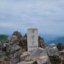 산림생태문화체험단지 네이버블로그