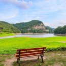 호수와 소나무 이미지