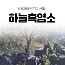 흑염소농장 직영으로 만든 흑염소진액 드시고 여름 이겨내세요~ 이미지