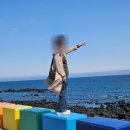 제주도 관광버스 대절 비용, 친구들과의 단체여행 후기