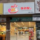 마라이츠 이미지