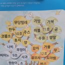구몬 한글이 크는 나무 4개월 후기/5살 48개월/내돈내산
