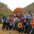 백양사 삼거리 화장실 티스토리