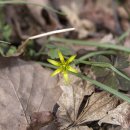 천마산약수터 이미지