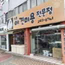 신촌애견미용실 이미지