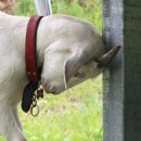 하루태양광발전소 이미지