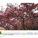 아리따움경남 - 남해군 화전로 78 | 아리따움경남