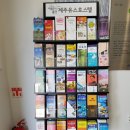 오션트리 호스텔 이미지