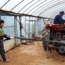 조영심 농장 이미지