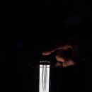 팜스퀘어 하늘타리 이미지