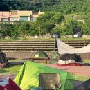 동부순환로2 | 울릉도 4박5일 자유 여행 코스 맛집 카페 캠핑장 스노클링 후기