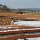 회산백련지 수상유리온실 이미지