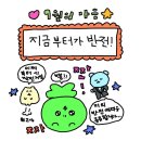 [유데미x스나이퍼팩토리] UI/UX 인턴형 프로그램 4기_인턴 8주차