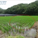 홍천군동면좌운보건진료소 | 강원 홍천군 동면 토지(답)경매 물건[2015타경5725]을 소개합니다 ^^ . [더에이스]