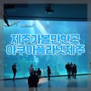 아쿠아플라넷63 | 제주 실내 가볼만한곳｜아쿠아플라넷 제주 솔직 후기 동심충만