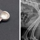 케이지메디텍(주) 이미지