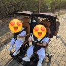 둥이카 | 내돈내산 씨투엠뉴 에이블 유모카 쌍둥이 트라이크 솔직후기