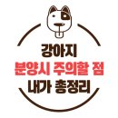 남부켄넬 이미지