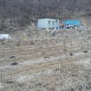 실로암 3농장 네이버블로그