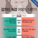 독감이 감기와 다른 점 다섯 가지 이미지