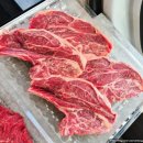 뉴월드유통 | 뉴질랜드 남섬 캠퍼밴 여행기(10/1~14) #5. DAY 11~12 : 크라이스트처치/여행 마무리 편