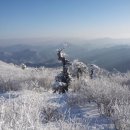 제 45회차 눈 산행인 태백산 이미지