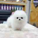 이수 태양광발전소 이미지