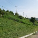 왕숙둔치공원 이미지