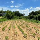 합덕읍경로당 이미지