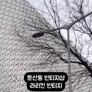 라리킨빈티지