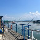 오션빌펜션 | 태안해루질펜션 갯벌체험과 낚시까지 잼나는 숙소 꽃지오션빌