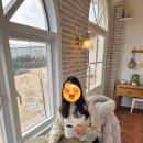 제주도 서귀포, 감귤 따기 체험 카페 &#39;제주에인감귤밭&#39; 내돈내산 후기