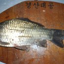 청도천4 이미지