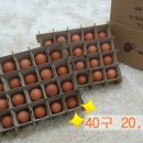 뜨레난농장 이미지