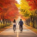 남한강자전거길 11 | 광명 안양천 자전거길 11월 단풍 명소, 절정기 여행 후기