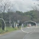 대산문화체육공원(플라워랜드) 네이버블로그