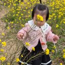 전기차충전소_6호광장 서쪽 공영주차장 | 방문 전 필수 제주 공항 근처 유채꽃 명소 서우봉 방문 후기 꿀팁